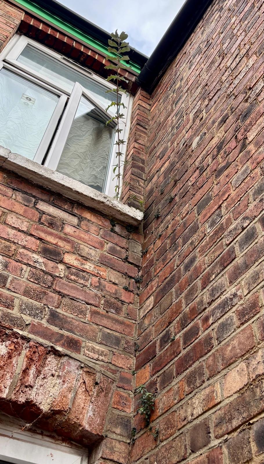 Rainwater Penetration to a Building in Earl’s Court