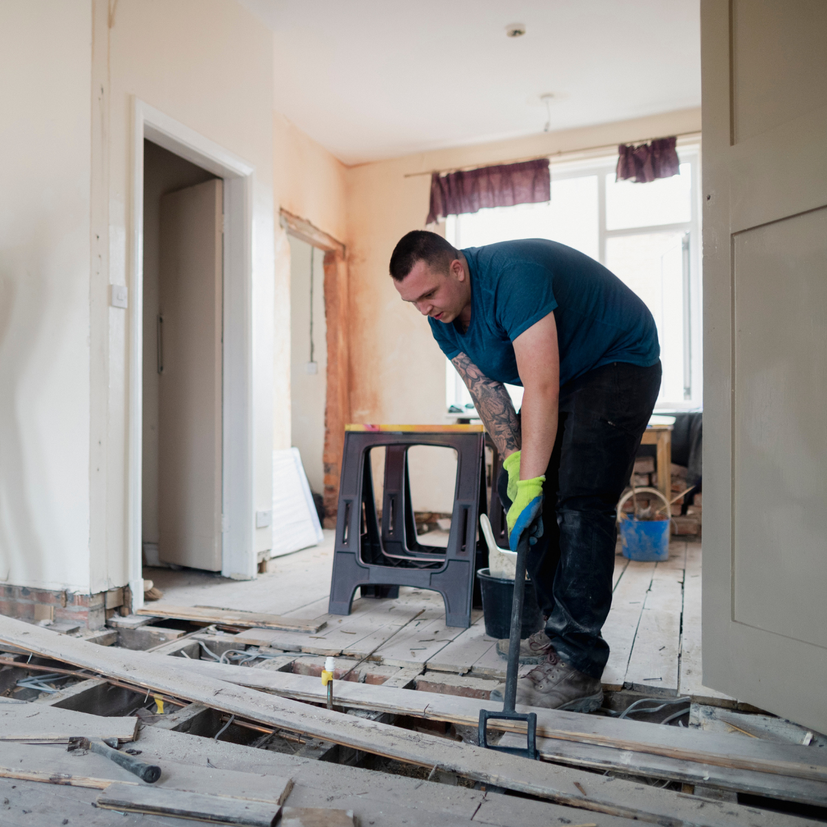 what is woodworm (1)
