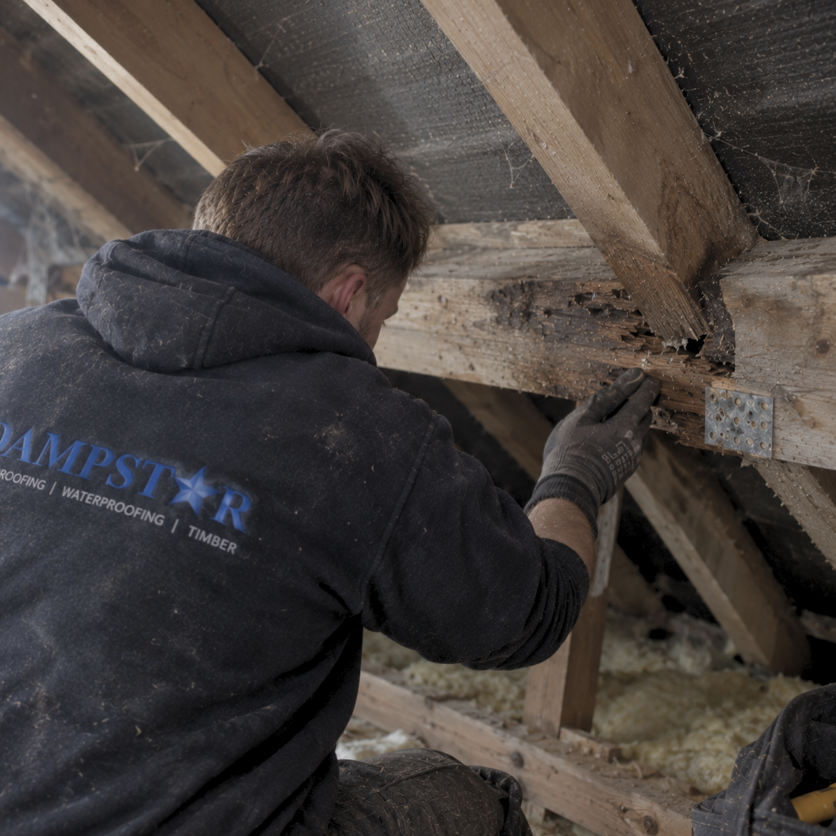 timber treatment